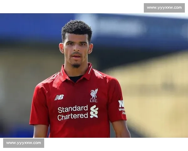 电讯报揭秘伯恩茅斯引援：以 “跳板” 定位做长期文章